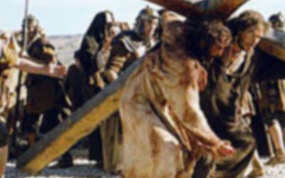 Ascend to the Truth About Who You Are.