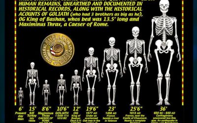 The World History of Giants