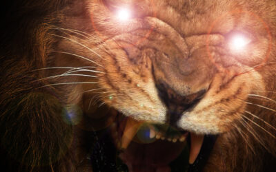 Prophetic Teaching to the USA – Sadhu Sundar Selvaraz