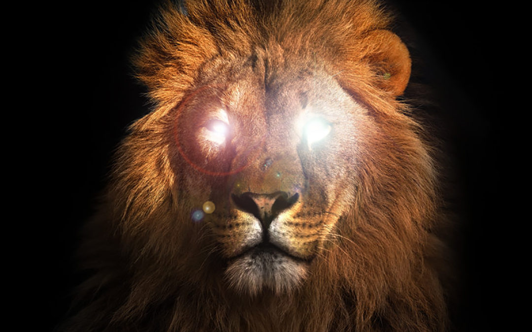 Dread Champions — Of The Lord