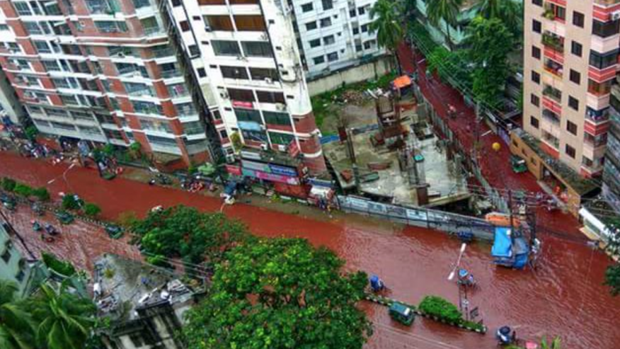 The History of Islam