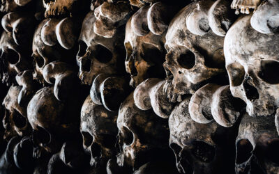 FDA and Medicare Data Prove Actual COVID Vaccine Deaths are Wildly Different than Reports!