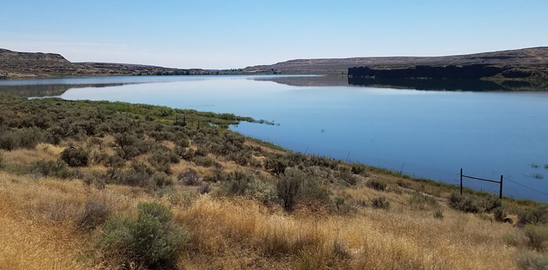 Protected: Brook Lake Estates