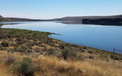 Protected: Brook Lake Estates