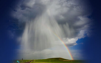 How Can God be Loving with All of the Evil in the World? Why is Abortion Wrong? What does it Really Mean to, “Take The Lord’s Name in Vain”?