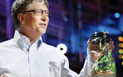 A King Cobra Global Attack – Stu Peters and Dr Brian Ardis