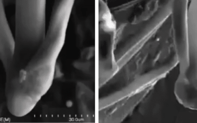 It’s Alive! No Longer Sci-Fi, Aluminum & Carbon Based “Life Forms” Found in Phizer Vax!