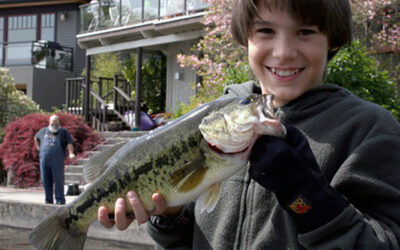 Bass Fishing – Swimbaits, tactics and tips