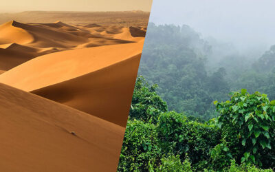 Is Carbon Dioxide Good or Bad for the Earth? Where Is Climate Change Activism Leading Us?