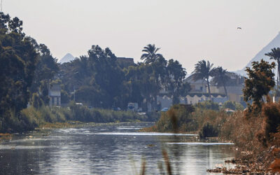 Psychology – Denial, what’s it all about?