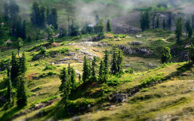 How Old is the Earth?