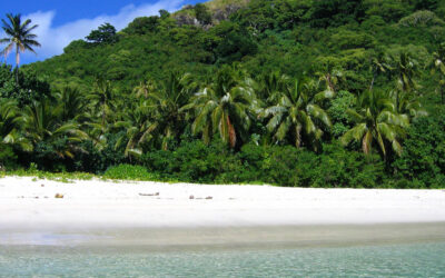 Healing Skin Care from Fiji – NIKUA SKIN