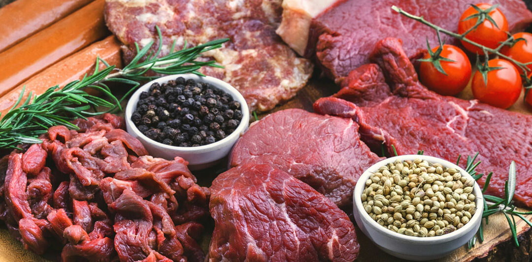 Mikhaila Peterson And her Famous Meat Debate at Oxford University