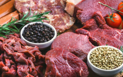 Mikhaila Peterson And her Famous Meat Debate at Oxford University