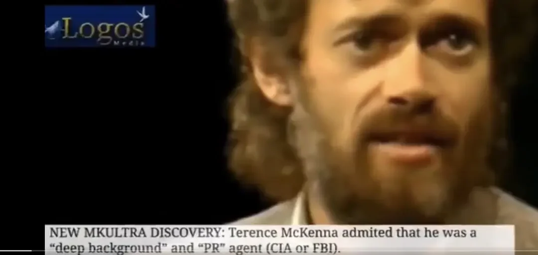 The Global Takedown of the Deep State, Donald J Trump & the White Hat Operation