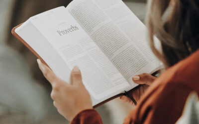 The Cannon of Scripture, What Books of the Bible Have Been Removed from Our Bibles?
